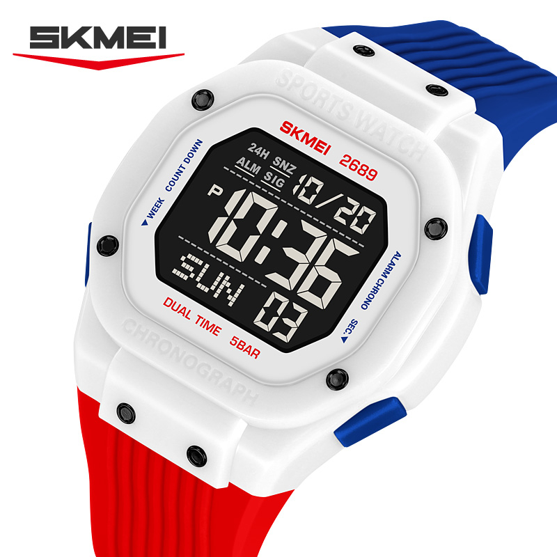 اسکمی مدل 2689